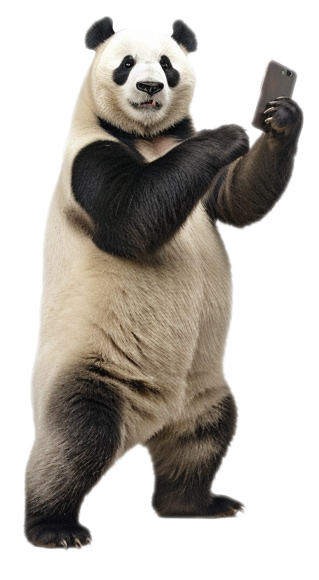 Panda de PandaMovil con su teléfono